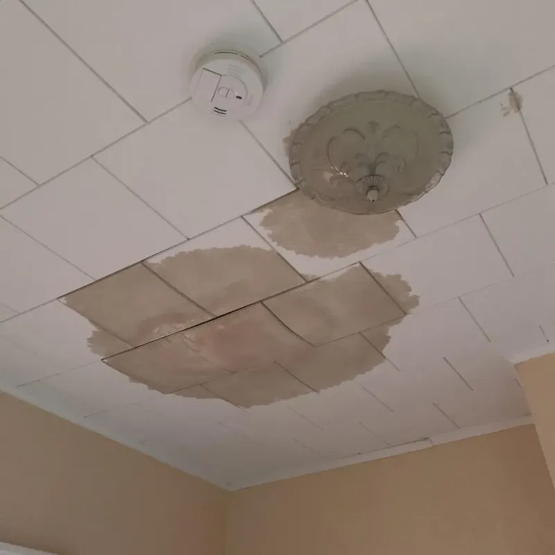 Ceiling Water Damage Repair in McIntosh County, OK