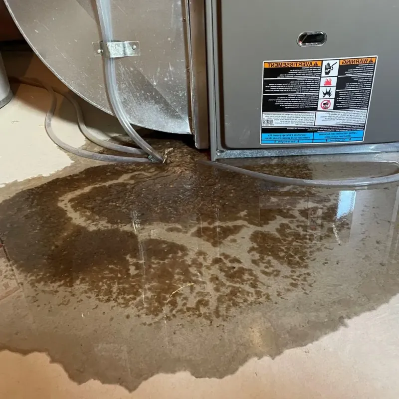Pipe Burst and Leak Restoration in McIntosh County, OK